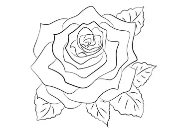 Como Desenhar Uma Rosa Fácil [Passo a Passo GRÁTIS 2020]