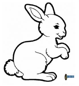 desenhos para desenhar fáceis coelho