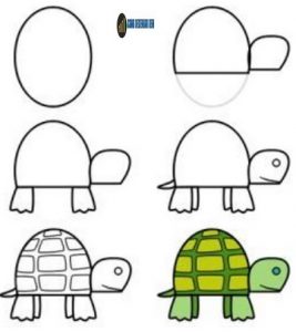 desenhos para desenhar tartaruga