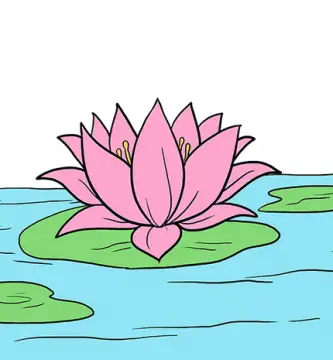 como desenhar flor de lotus