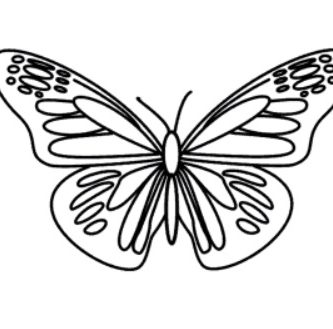 como desenhar uma borboleta
