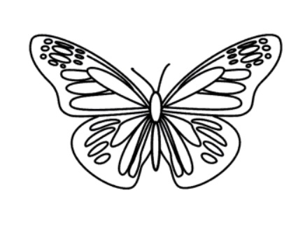 como desenhar uma borboleta