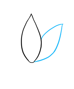 desenho de flor de lotus 2