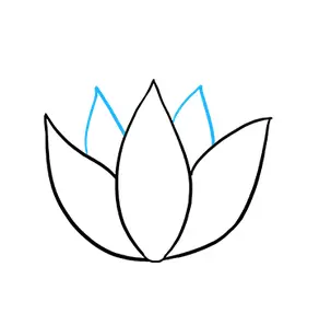 desenho de flor de lotus 4