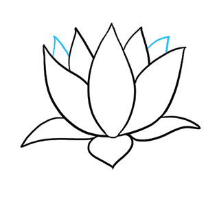 desenho de flor de lotus 6