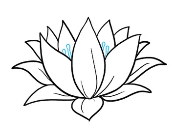 desenho de flor de lotus 8