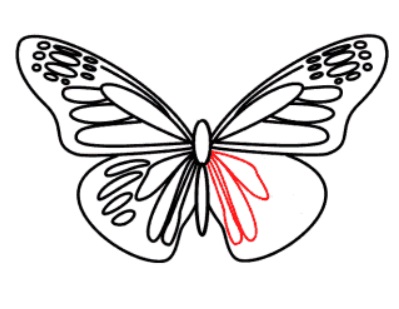 desenho de uma borboleta passo 10