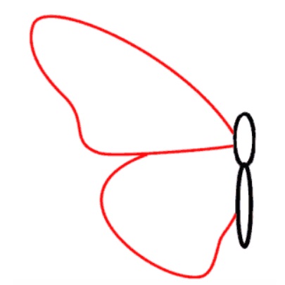 desenho de uma borboleta passo 2