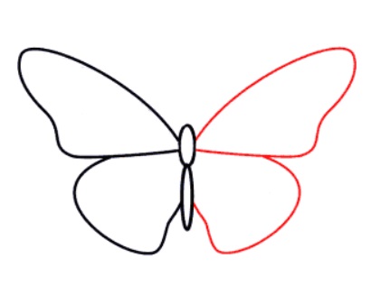 desenho de uma borboleta passo 3