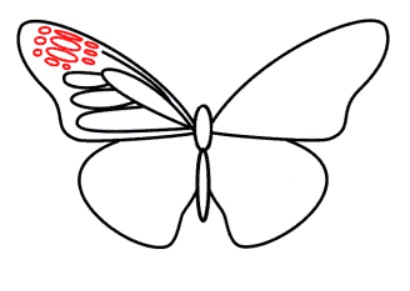 desenho de uma borboleta passo 5