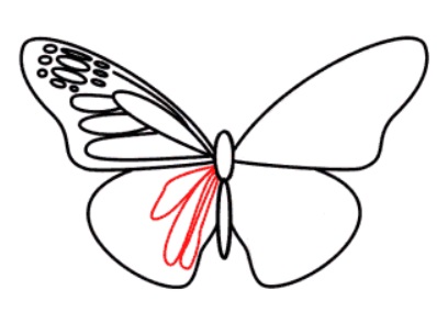 desenho de uma borboleta passo 6