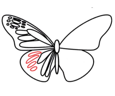 desenho de uma borboleta passo 7