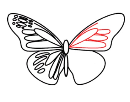 desenho de uma borboleta passo 8