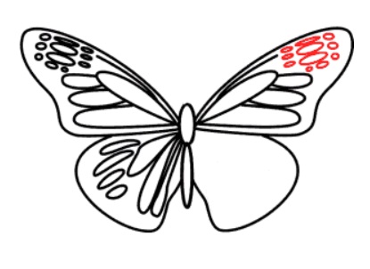 desenho de uma borboleta passo 9