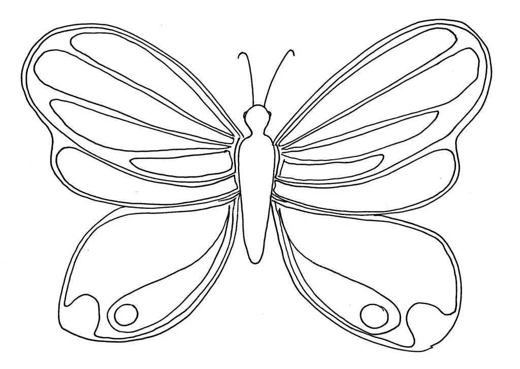 desenhos para colorir borboleta