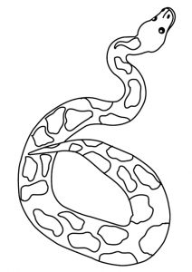 Desenhos de Cobra - Como desenhar Cobra passo a passo