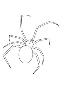 desenho de aranha para pintar 2