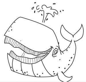 desenho de baleia para pintar 13