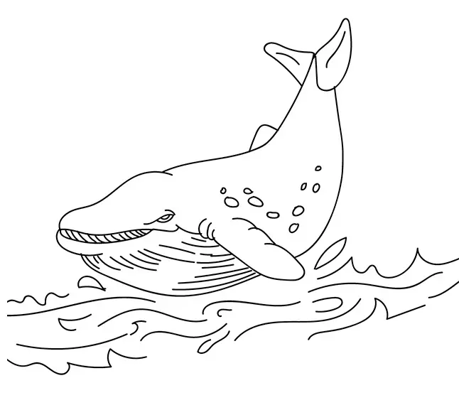 desenho de baleia para pintar 14