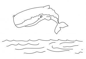 desenho de baleia para pintar 16