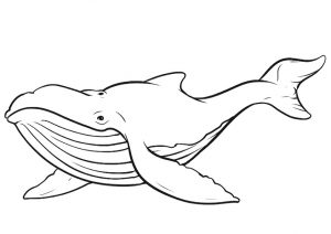desenho de baleia para pintar 5