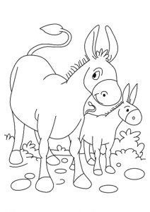 desenho de burro para pintar 3