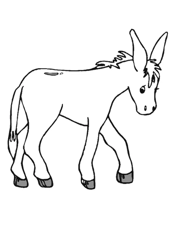 desenho de burro para pintar 6