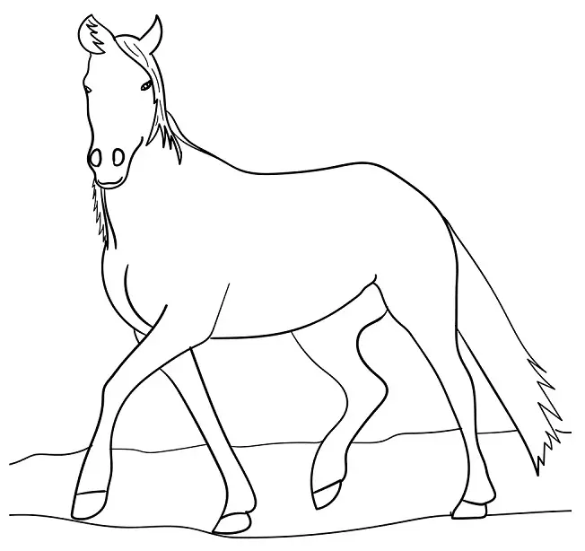 desenho de cavalo 11