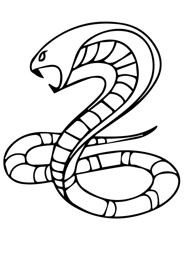 desenhos da cobra para pintar 12