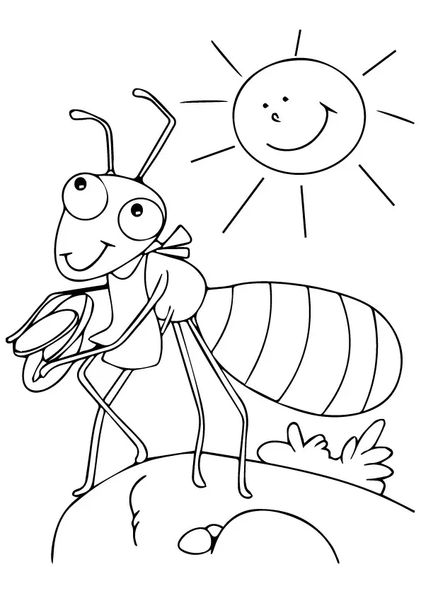 desenho de formiga para pintar 11
