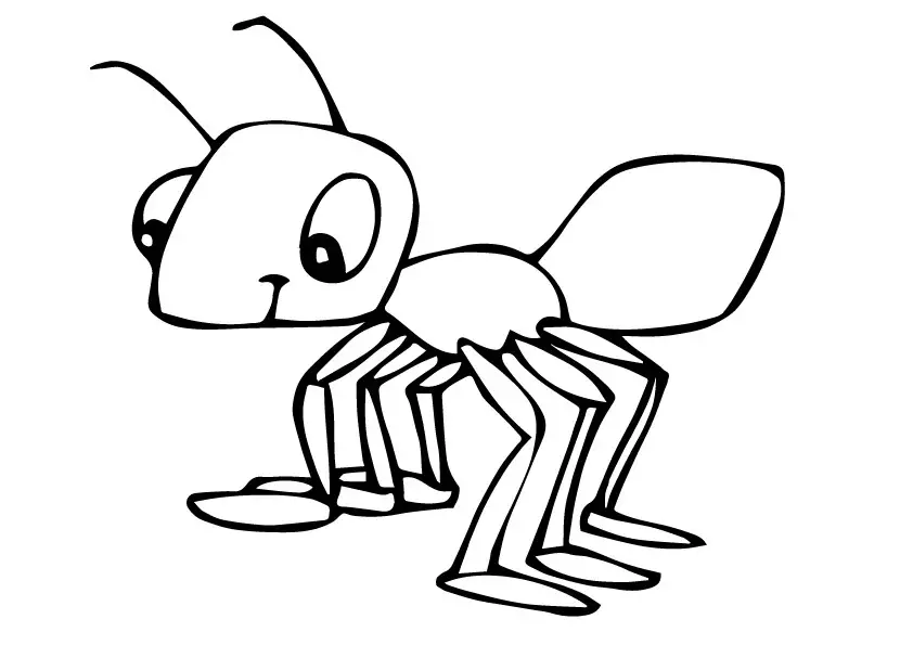 desenho de formiga para pintar 13