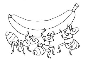 desenho de formiga para pintar 15
