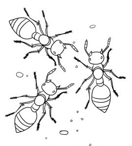 desenho de formiga para pintar 20