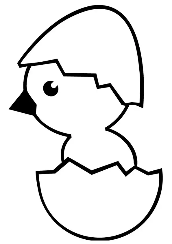 desenho de galinha 6