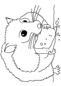 desenho de hamster para pintar 1