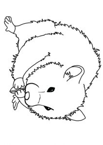 desenho de hamster para pintar 11
