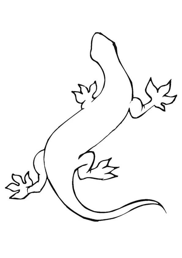 desenho de lagarto para pintar 3
