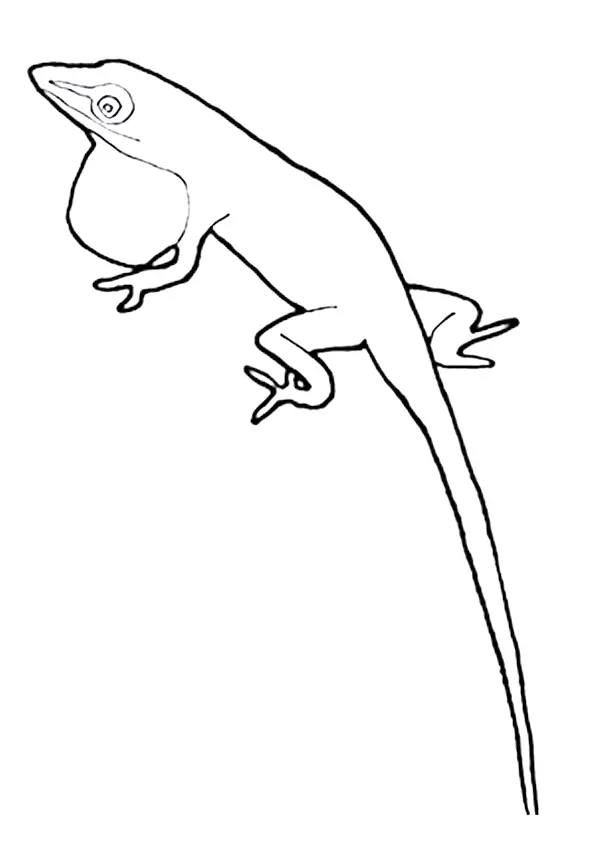 desenho de lagarto para pintar 5