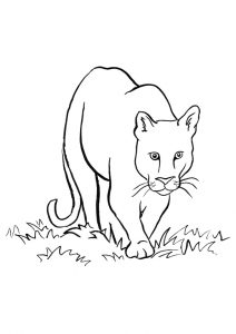 desenho de leão 2