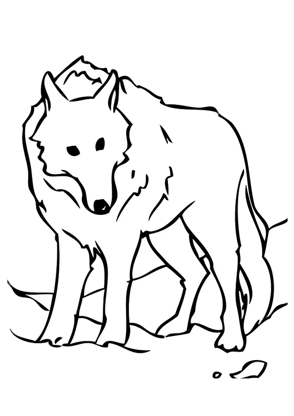 desenho de lobo para pintar 3