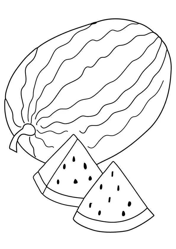 desenho de melancia para pintar 7