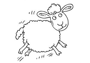 desenho de ovelha 10