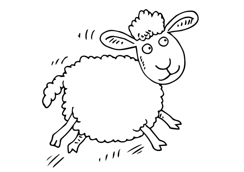 desenho de ovelha 10