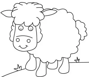 desenho de ovelha 12