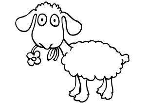 desenho de ovelha 3