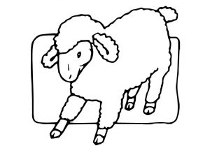 desenho de ovelha 7