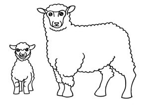 desenho de ovelha 9