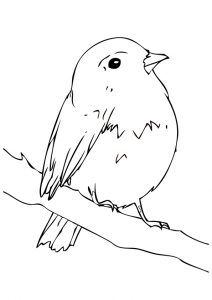 desenho de passarinho 2
