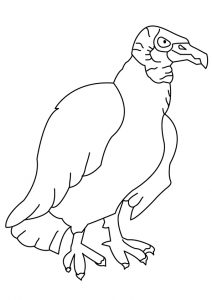 desenho de passarinho 6