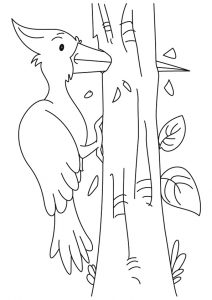 desenho de passarinho 7